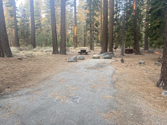 A photo of Site 139 of Loop AREA FALLEN LEAF CAMPGROUND at FALLEN LEAF CAMPGROUND with Picnic Table, Fire Pit, Food Storage