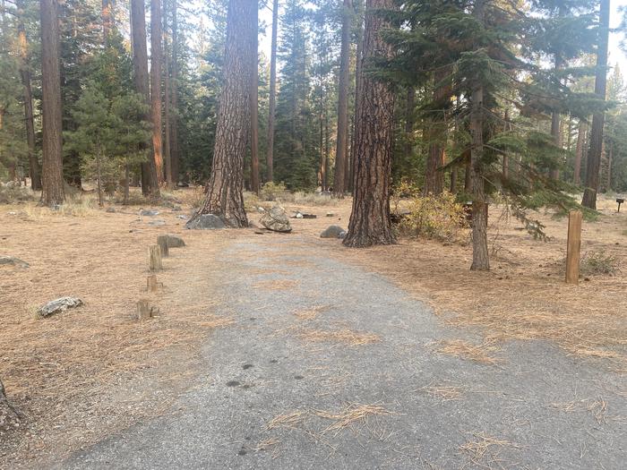 A photo of Site 150 of Loop AREA FALLEN LEAF CAMPGROUND at FALLEN LEAF CAMPGROUND with Picnic Table, Fire Pit, Food Storage