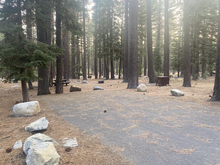 A photo of Site 137 of Loop AREA FALLEN LEAF CAMPGROUND at FALLEN LEAF CAMPGROUND with Picnic Table, Fire Pit, Food Storage
