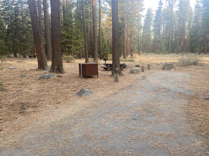 A photo of Site 148 of Loop AREA FALLEN LEAF CAMPGROUND at FALLEN LEAF CAMPGROUND with Picnic Table, Fire Pit, Food Storage