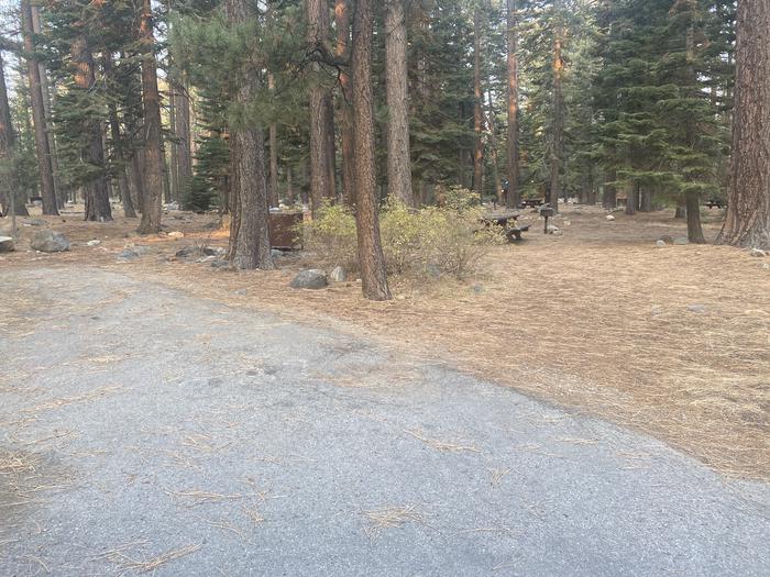 A photo of Site 167 of Loop AREA FALLEN LEAF CAMPGROUND at FALLEN LEAF CAMPGROUND with Picnic Table, Fire Pit, Food Storage