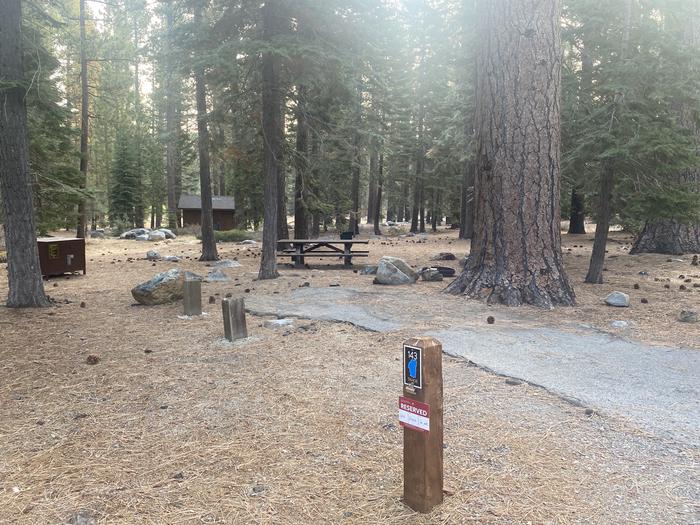 A photo of Site 143 of Loop AREA FALLEN LEAF CAMPGROUND at FALLEN LEAF CAMPGROUND with Picnic Table, Fire Pit, Food Storage