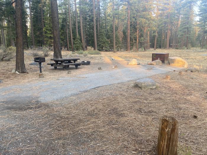 A photo of Site 146 of Loop AREA FALLEN LEAF CAMPGROUND at FALLEN LEAF CAMPGROUND with Picnic Table, Fire Pit, Food Storage