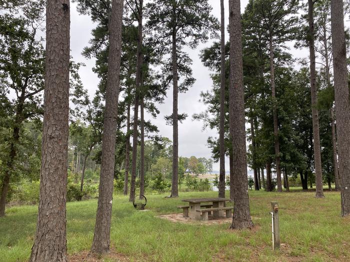 A photo of Site 10 of Loop LOOA at RAYBURN with Picnic Table, Fire Pit, Waterfront