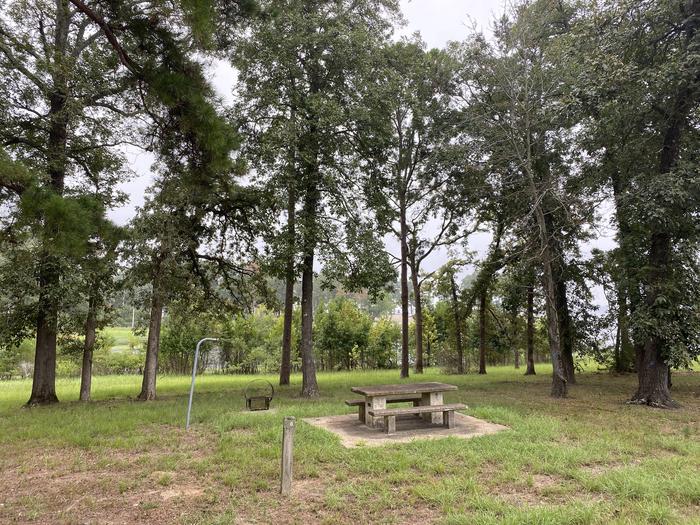 A photo of Site 06 of Loop LOOA at RAYBURN with Picnic Table, Fire Pit, Lantern Pole