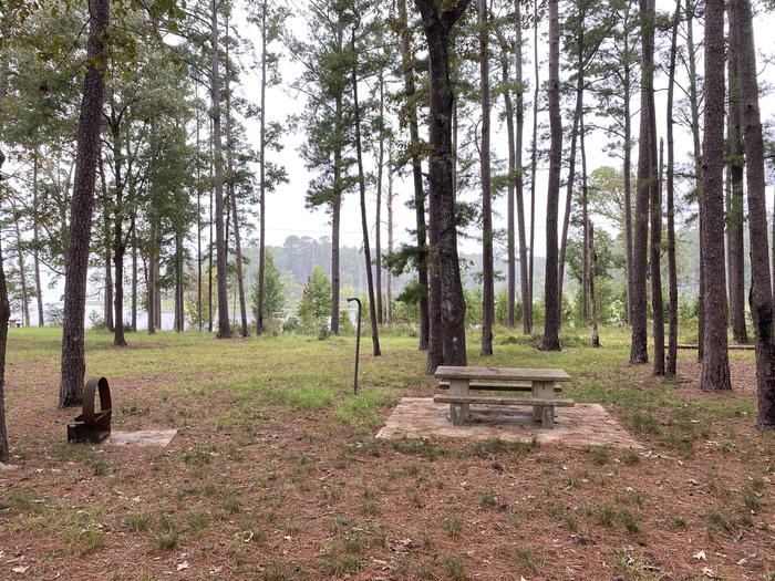 A photo of Site 01 of Loop LOOA at RAYBURN with Picnic Table, Fire Pit, Lantern Pole
