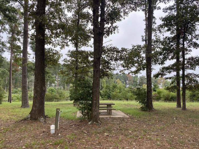 A photo of Site 09 of Loop LOOA at RAYBURN with Picnic Table, Fire Pit, Waterfront
