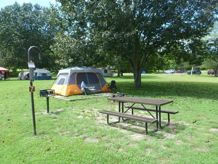 Tyler Bend Main Loop Site# 7Site #7, 50" back-in, tent pad 15' x 15'. Parking area is wide enough for RV & car to park side by side.
