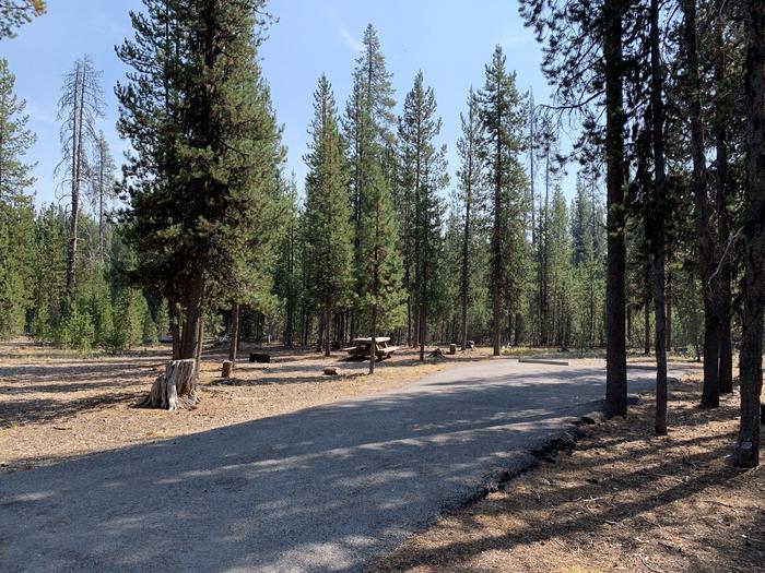 A photo of Site E12 of Loop Loop E at BROKEN ARROW CAMPGROUND with Picnic Table, Fire Pit, Shade, Tent Pad