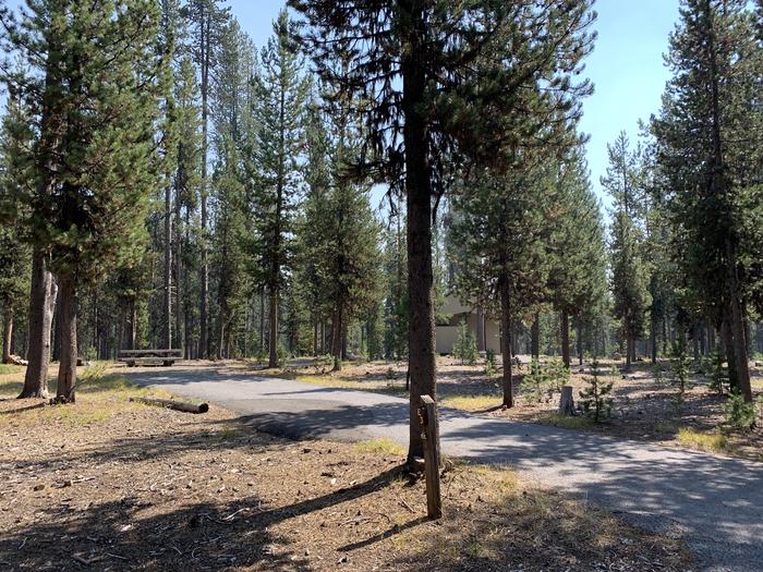 A photo of Site E03 of Loop Loop E at BROKEN ARROW CAMPGROUND with Picnic Table, Fire Pit, Shade, Tent Pad