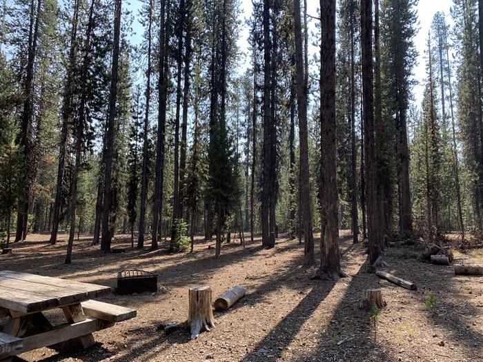 A photo of Site E09 of Loop Loop E at BROKEN ARROW CAMPGROUND with Picnic Table, Fire Pit, Shade, Tent Pad