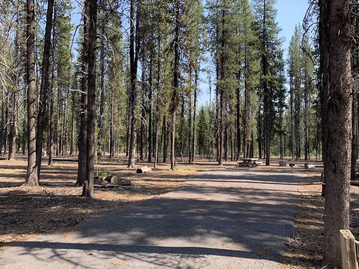 A photo of Site E14 of Loop Loop E at BROKEN ARROW CAMPGROUND with Picnic Table, Fire Pit, Shade, Tent Pad