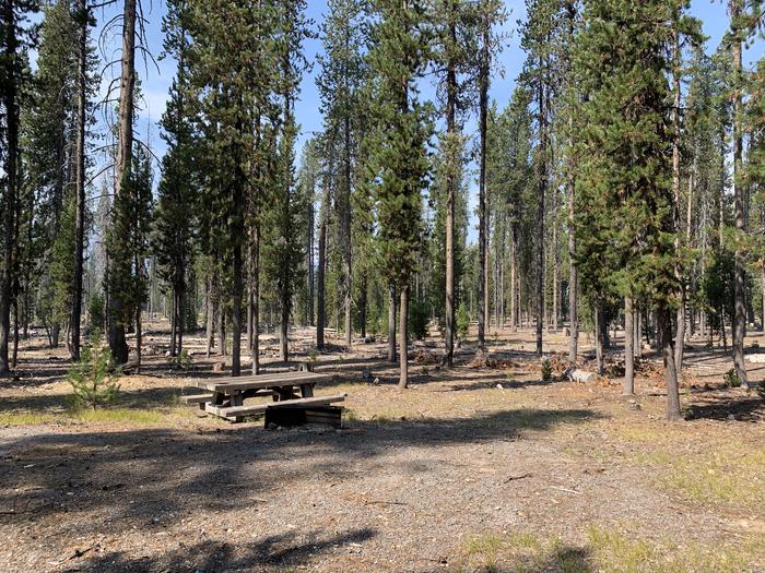 A photo of Site E02 of Loop Loop E at BROKEN ARROW CAMPGROUND with Picnic Table, Fire Pit, Shade, Tent Pad