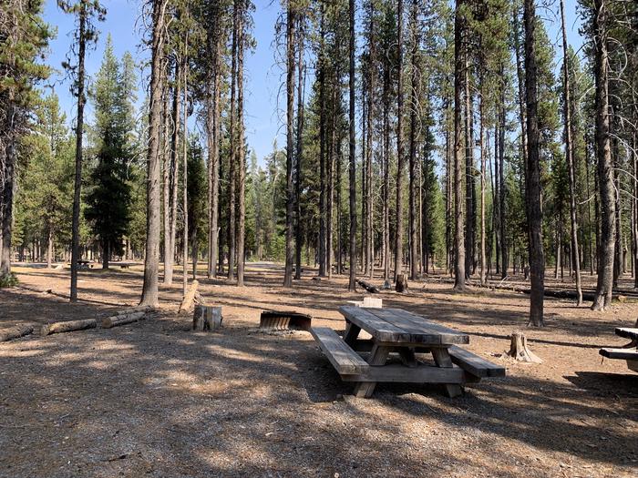 A photo of Site E15 of Loop Loop E at BROKEN ARROW CAMPGROUND with Picnic Table, Fire Pit, Shade, Tent Pad