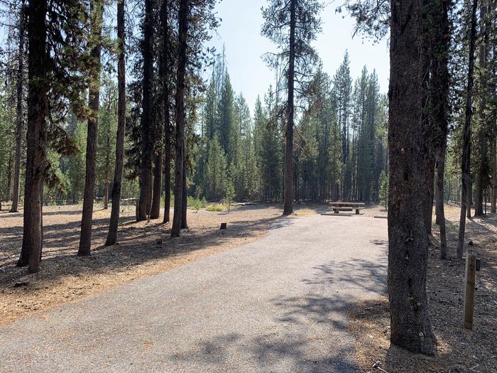 A photo of Site E10 of Loop Loop E at BROKEN ARROW CAMPGROUND with Picnic Table, Fire Pit, Shade, Tent Pad