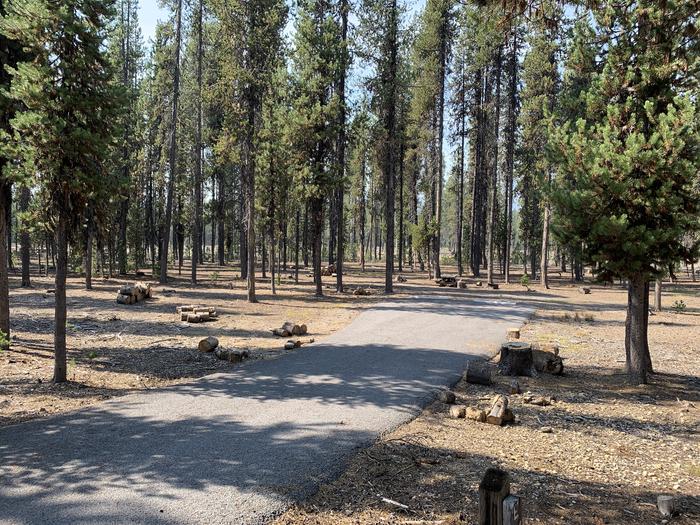 A photo of Site E06 of Loop Loop E at BROKEN ARROW CAMPGROUND with Picnic Table, Fire Pit, Shade, Tent Pad