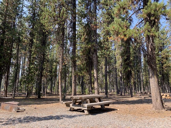 A photo of Site E07 of Loop Loop E at BROKEN ARROW CAMPGROUND with Picnic Table, Fire Pit, Shade, Tent Pad