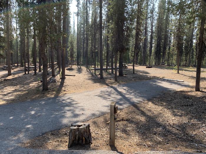 A photo of Site E08 of Loop Loop E at BROKEN ARROW CAMPGROUND with Picnic Table, Fire Pit, Shade, Tent Pad