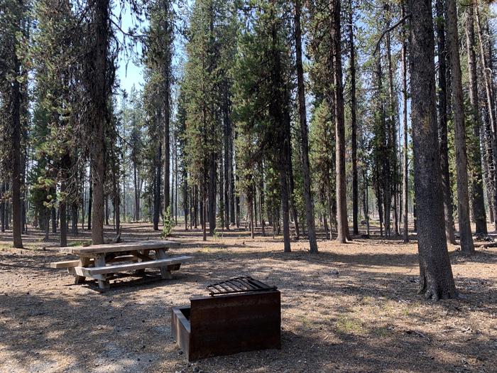 A photo of Site E05 of Loop Loop E at BROKEN ARROW CAMPGROUND with Picnic Table, Fire Pit, Shade, Tent Pad