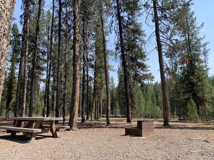 A photo of Site E13 of Loop Loop E at BROKEN ARROW CAMPGROUND with Picnic Table, Fire Pit, Shade, Tent Pad
