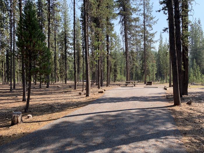 A photo of Site E13 of Loop Loop E at BROKEN ARROW CAMPGROUND with Picnic Table, Fire Pit, Shade, Tent Pad