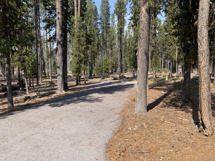 A photo of Site E04 of Loop Loop E at BROKEN ARROW CAMPGROUND with Picnic Table, Fire Pit, Shade, Tent Pad