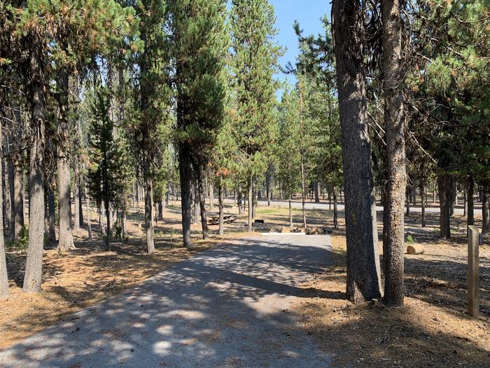 A photo of Site E01 of Loop Loop E at BROKEN ARROW CAMPGROUND with Picnic Table, Fire Pit, Shade, Tent Pad
