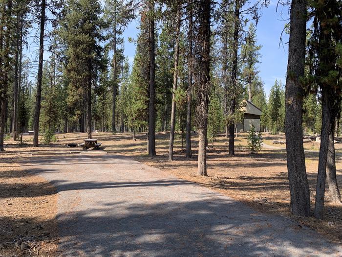 A photo of Site E11 of Loop Loop E at BROKEN ARROW CAMPGROUND with Picnic Table, Fire Pit, Shade, Tent Pad