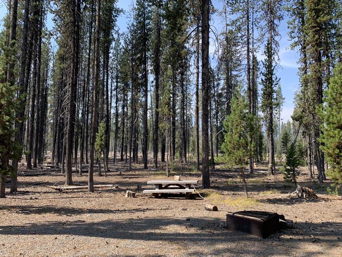 A photo of Site E04 of Loop Loop E at BROKEN ARROW CAMPGROUND with Picnic Table, Fire Pit, Shade, Tent Pad