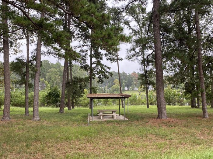 A photo of Site 07 of Loop LOOA at RAYBURN with Picnic Table, Fire Pit, Shade, Waterfront, Lantern Pole, Lean To / Shelter