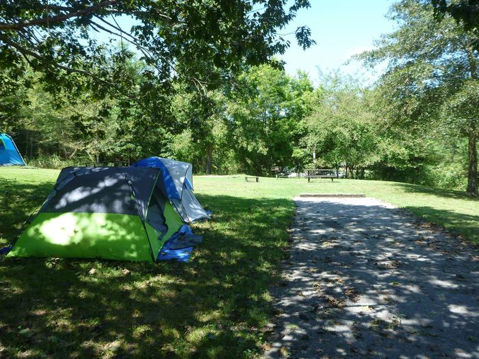 Tyler Bend Main Loop Site #20Site #20, 50' back-in, tent pad 15' x 15'.
