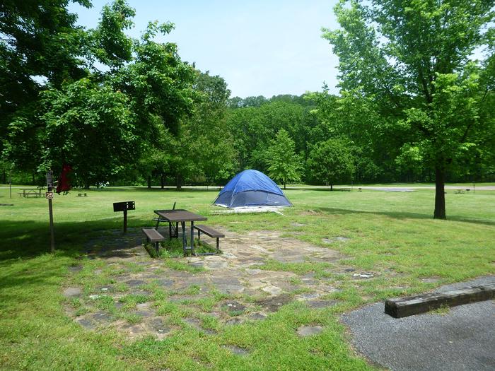 Tyler Bend Main Loop Site 25Site #25, 67' back-in, tent pad 15' x 15'.