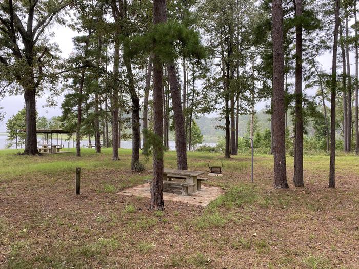 A photo of Site 02 of Loop LOOA at RAYBURN with Picnic Table, Fire Pit, Lantern Pole