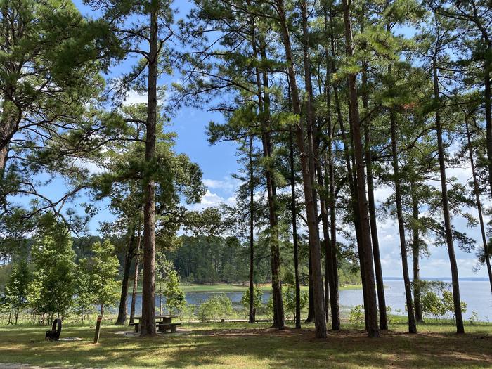 A photo of Site 65 of Loop LOOC at RAYBURN with Picnic Table, Fire Pit, Shade, Waterfront