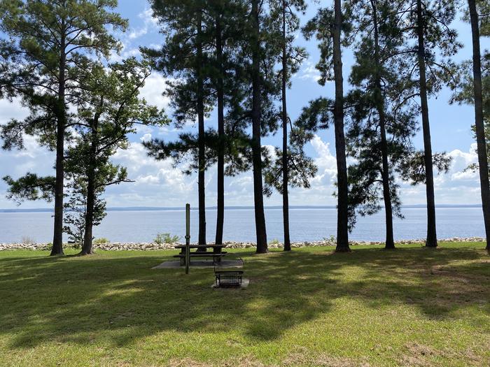 A photo of Site 62 of Loop LOOC at RAYBURN with Picnic Table, Fire Pit, Shade, Waterfront, Lantern Pole
