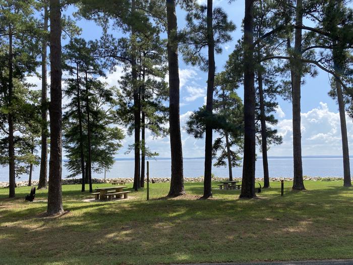 A photo of Site 63 of Loop LOOC at RAYBURN with Picnic Table, Fire Pit, Shade, Waterfront, Lantern Pole