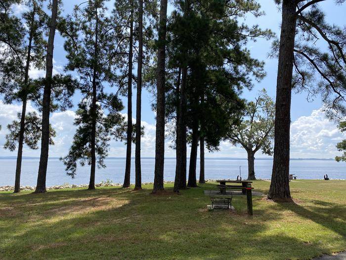 A photo of Site 61 of Loop LOOC at RAYBURN with Picnic Table, Fire Pit, Shade, Waterfront