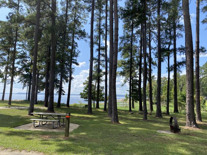 A photo of Site 56 of Loop LOOC at RAYBURN with Picnic Table, Fire Pit, Shade