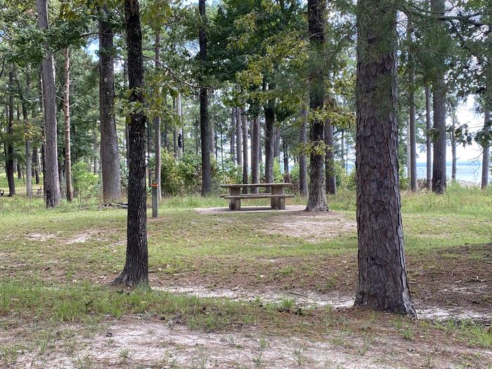 A photo of Site 51 of Loop RPAR at RAYBURN with Picnic Table