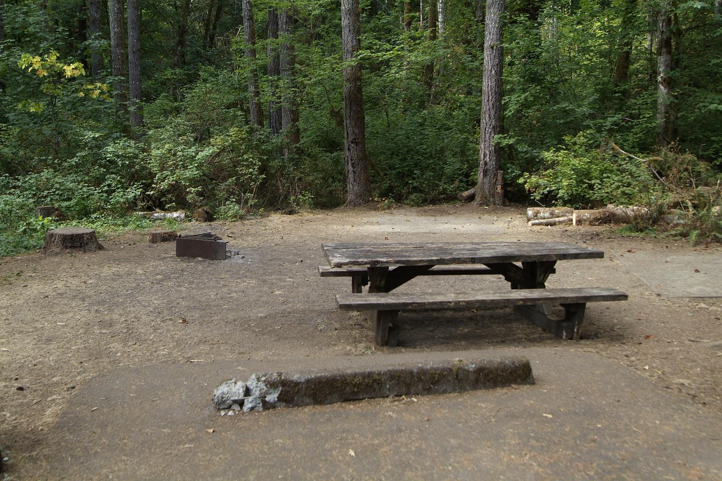 Site 3 has a fire ring and table provided. Site 3 table and fire ring. 