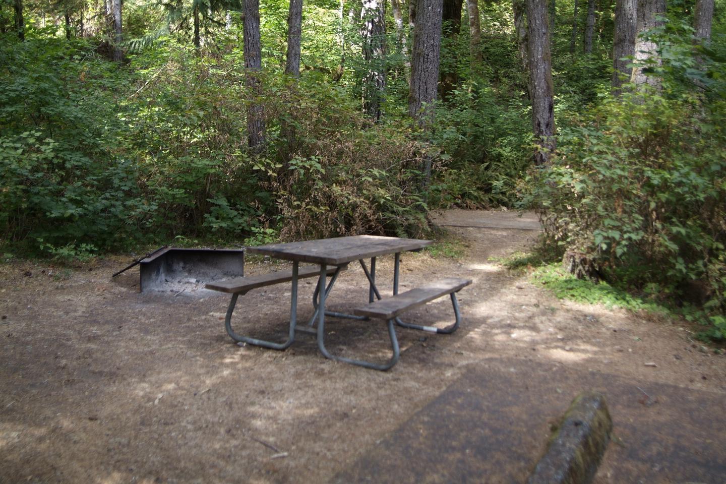 Site 5 has a table and fire ring provided. Camp site 5 table and fire ring. 