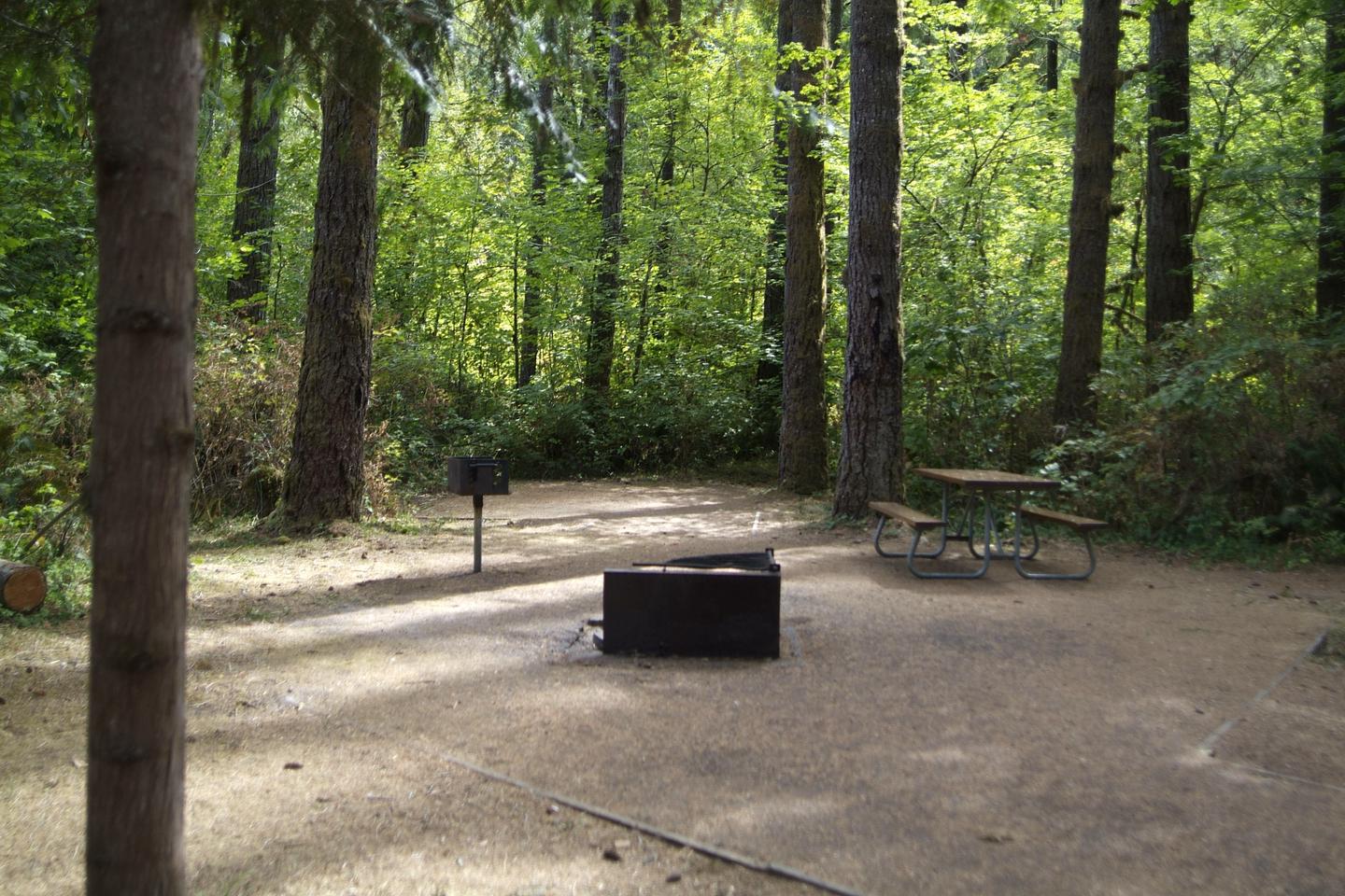 ADA fire ring, stand up grill, and table. ADA camp site furniture. 