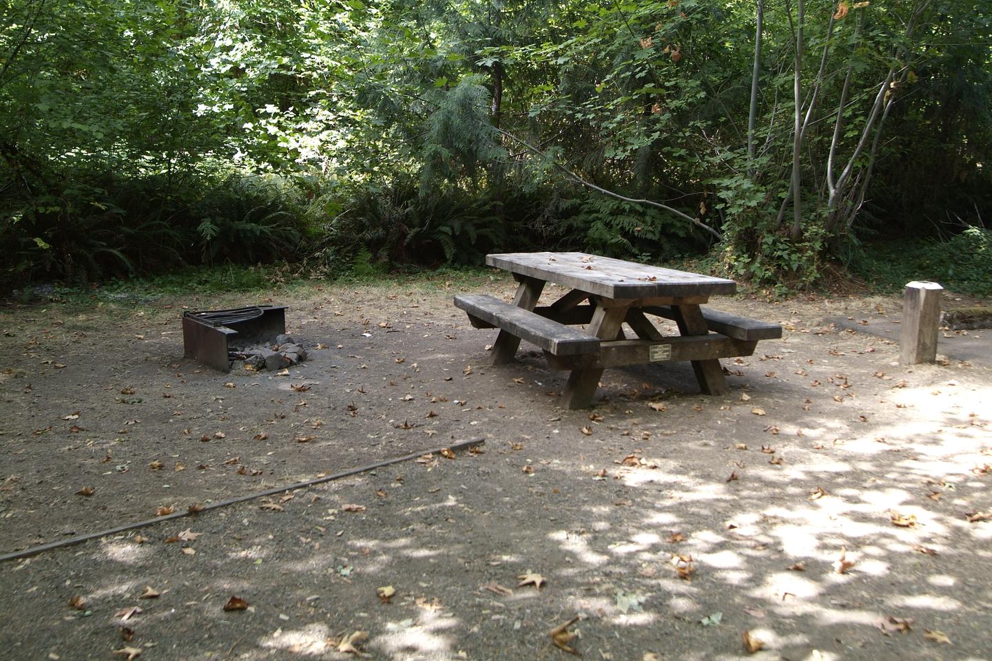 Camp site 9 table and fire ring. 