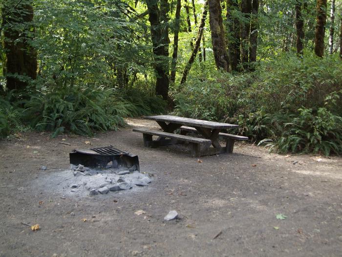 Camp Site 12: enclosed campsite with table, fire ring, 2 tent pads, and creek access. Includes trail connecting to site 13. 