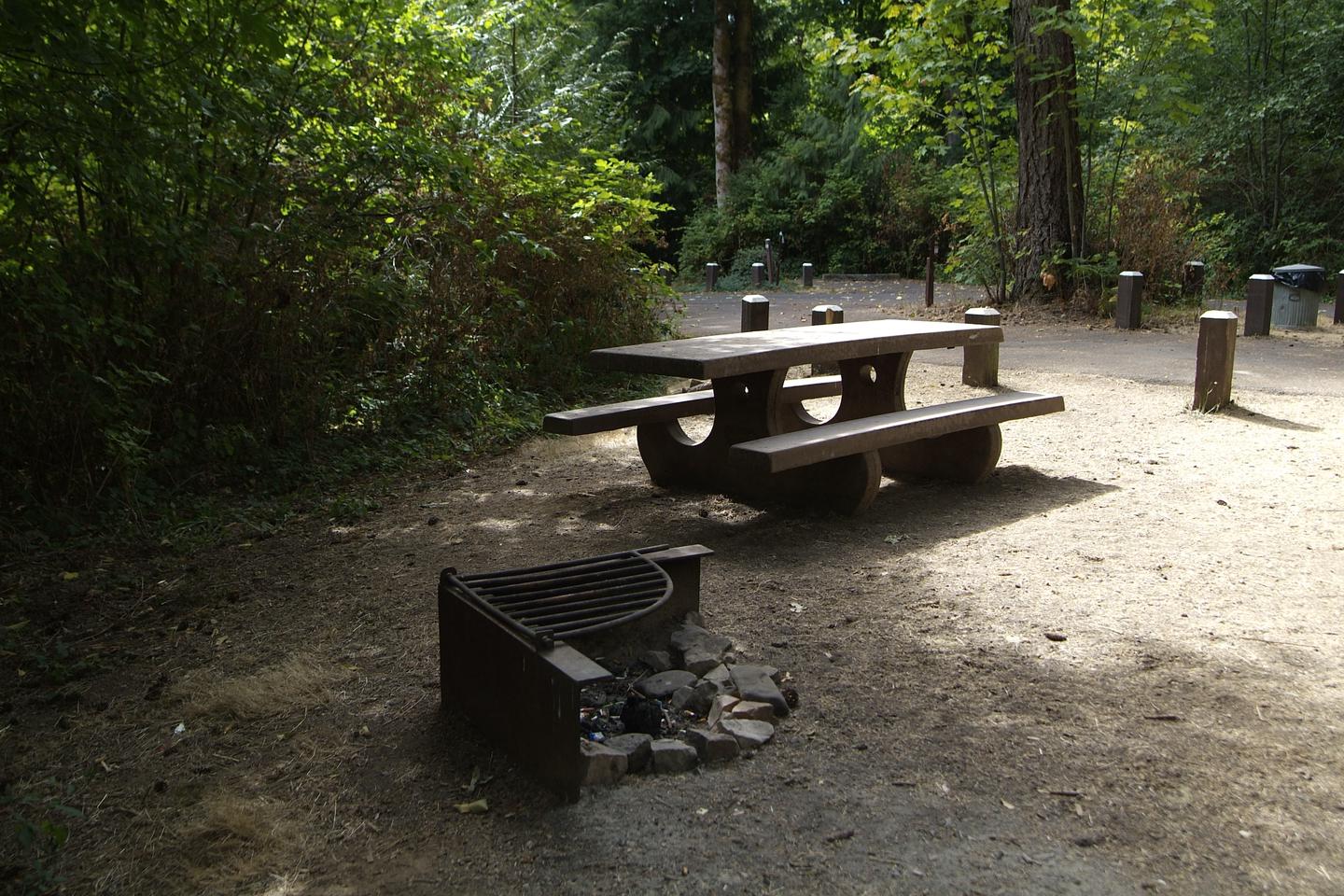 Camp site 19 table and fire ring. 