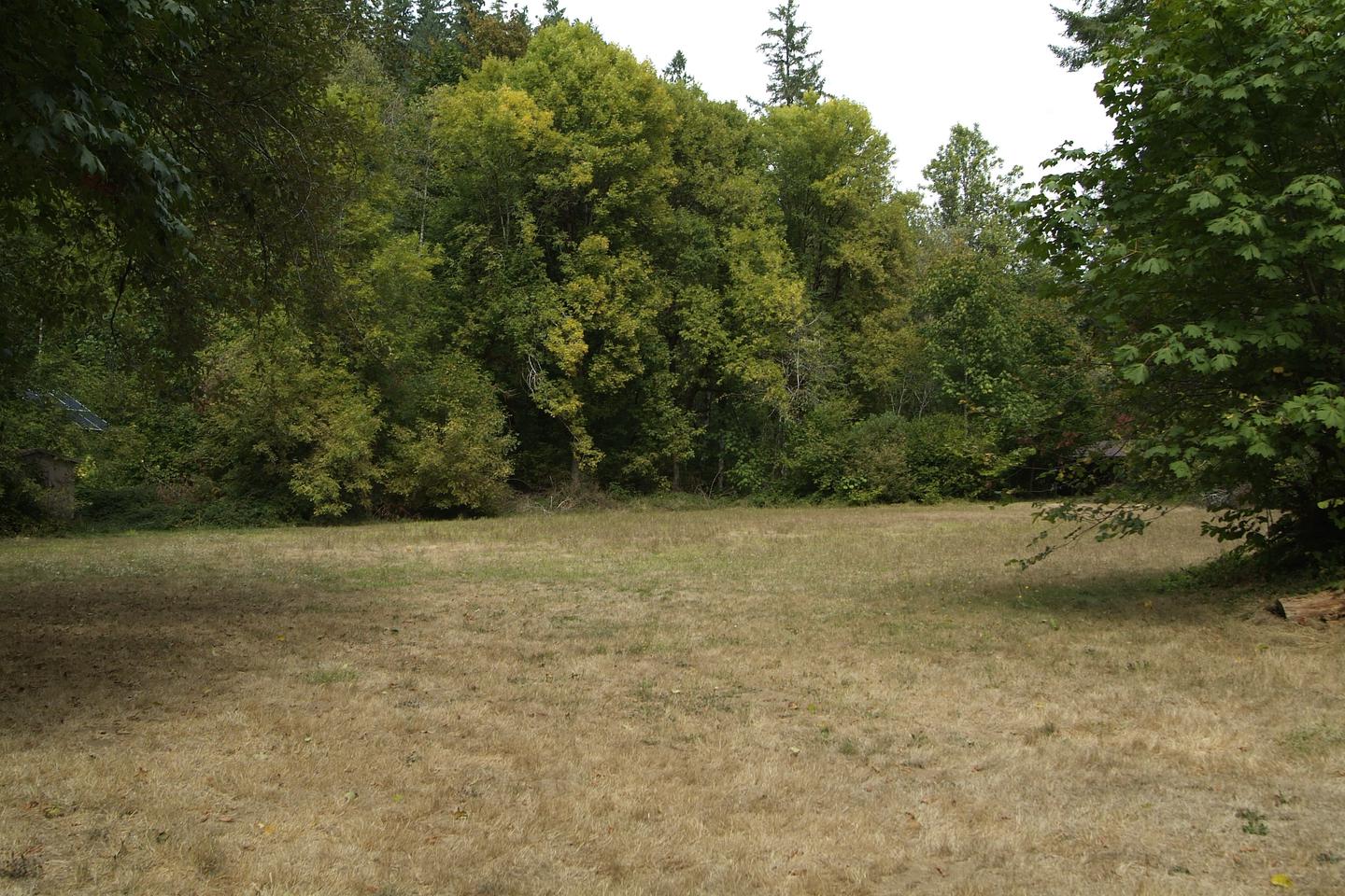 Field adjacent to shelter 1. 