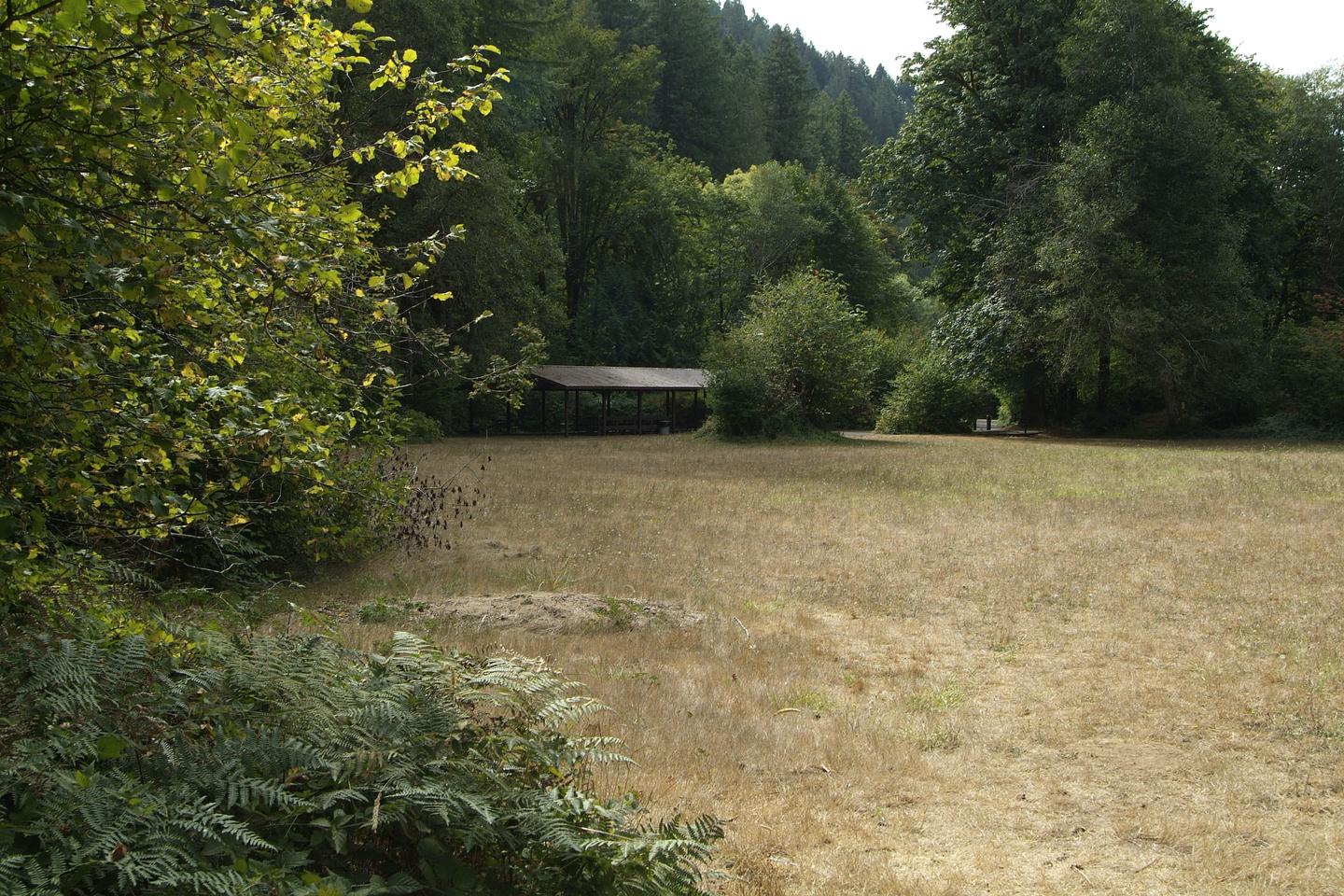 Field next to shelter 2. 