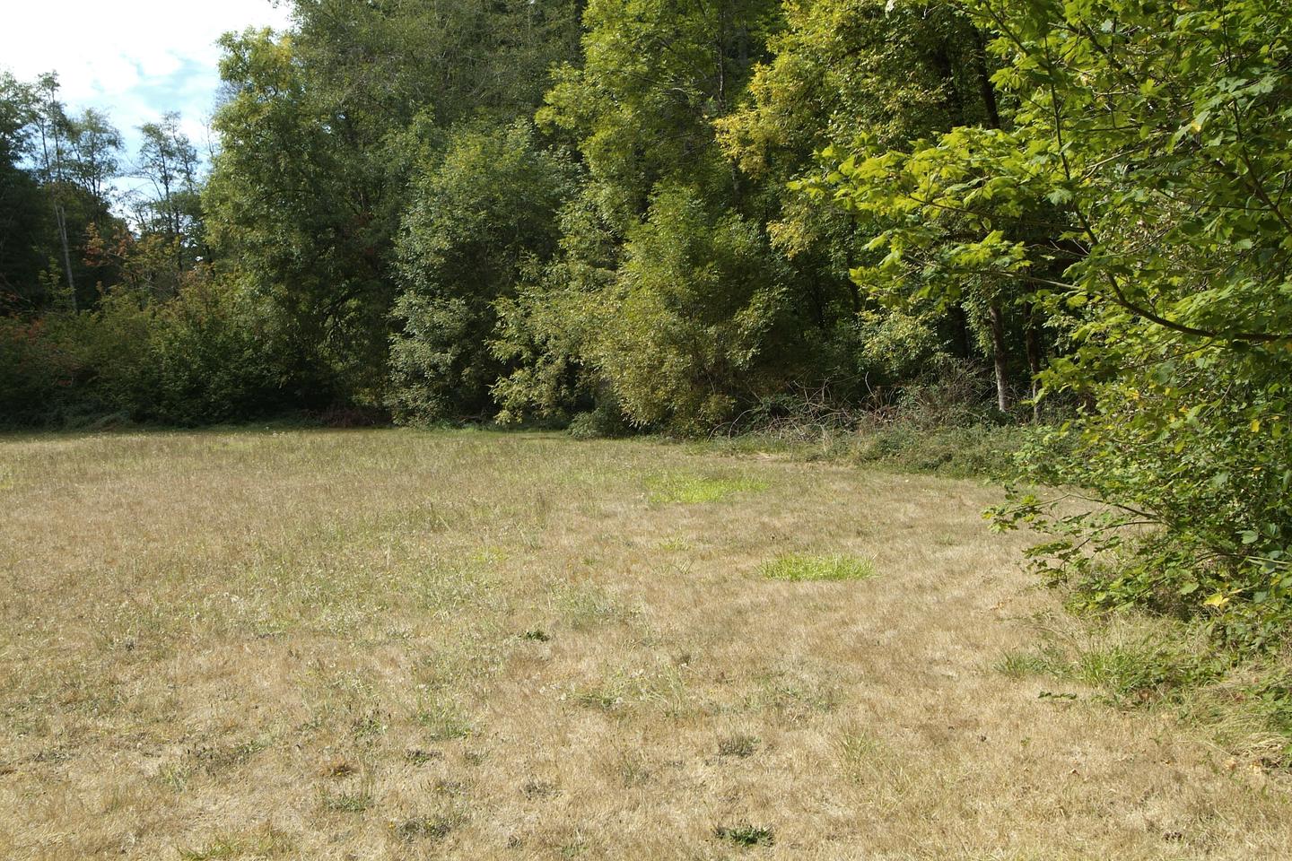 Field adjacent to shelter 2. 