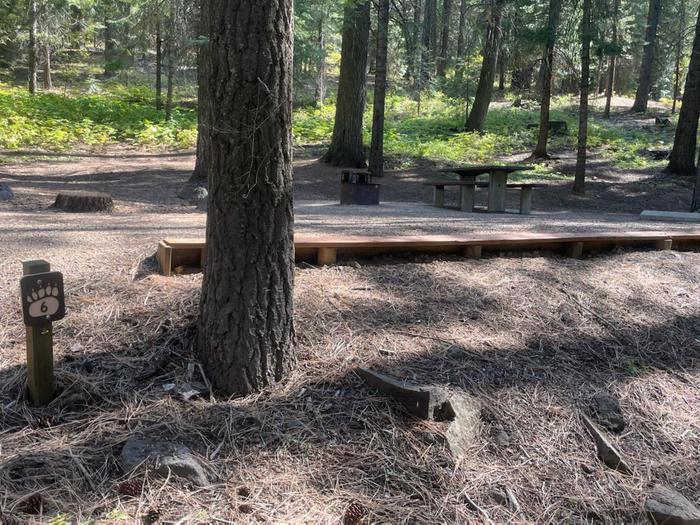 Spring Creek Campsite 6 with flat parking area and adjacent picnic table and fire pit surrounded by pine trees.Spring Creek Campground - Campsite 6