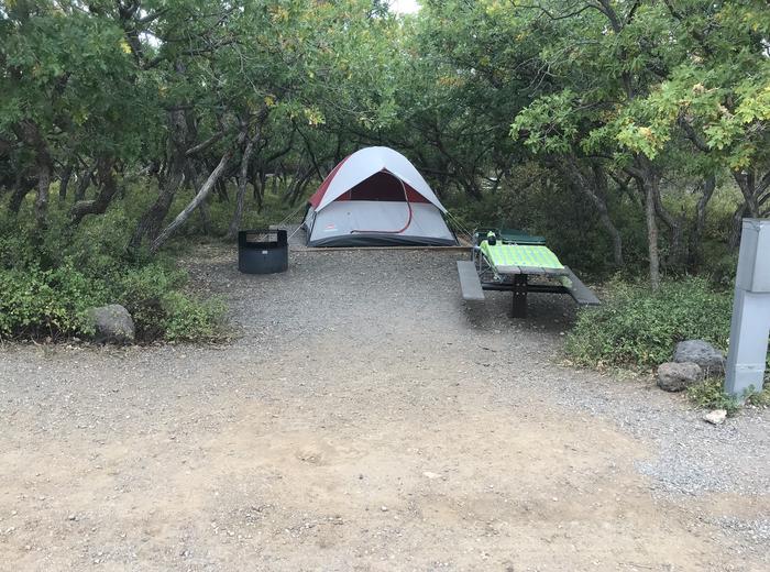 View of social space within Campsite B-005
